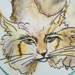 luchs sehr nah qu